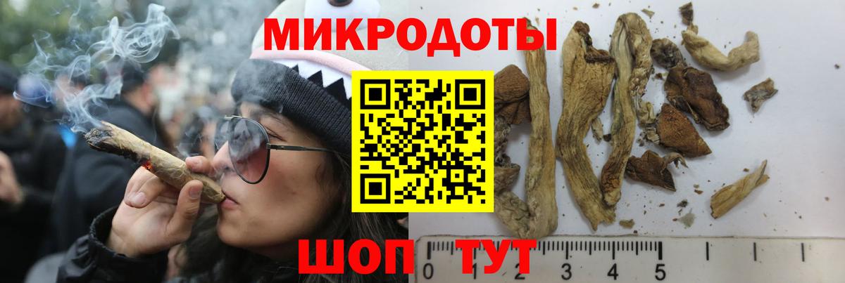 Пенза  Псилоцибиновые грибы прущие грибы  Вход с VPN  Галлюциногенные грибы Psilocybine cubensis 